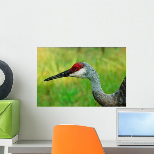 Sandhill Crane Profile Wall Mural