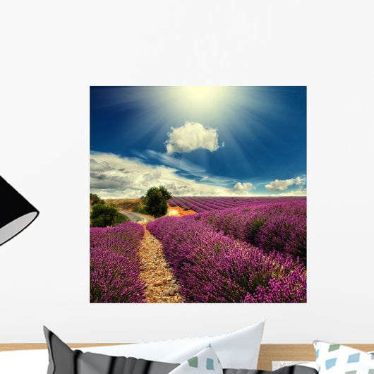 Lavender Field