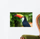 Toucan (Ramphastos toco)