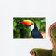 Toucan (Ramphastos toco)