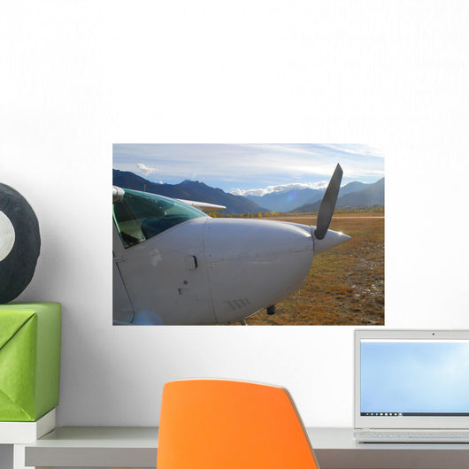 white plane Wall Mural