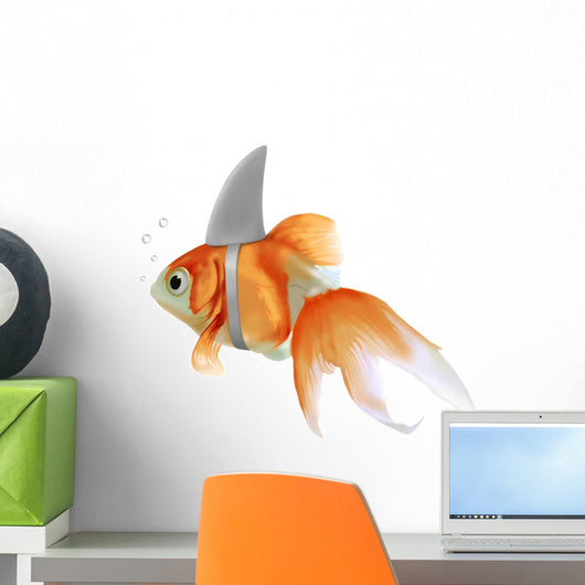 pesce rosso squalo