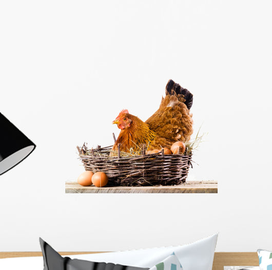 Chicken with eggs isolated on white