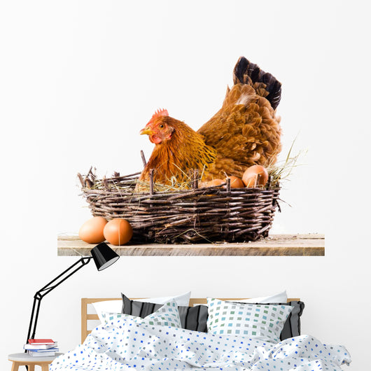 Chicken with eggs isolated on white