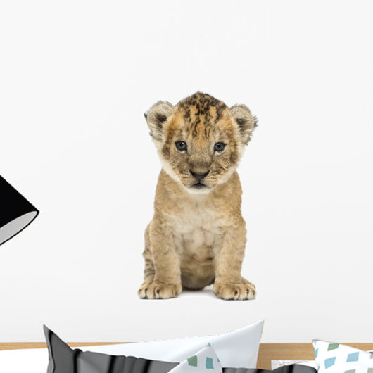 Lion cub, 4 weeks old, isolated on white Wall Decal