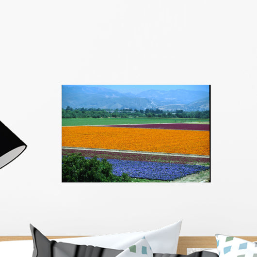 lompoc flowers Wall Mural