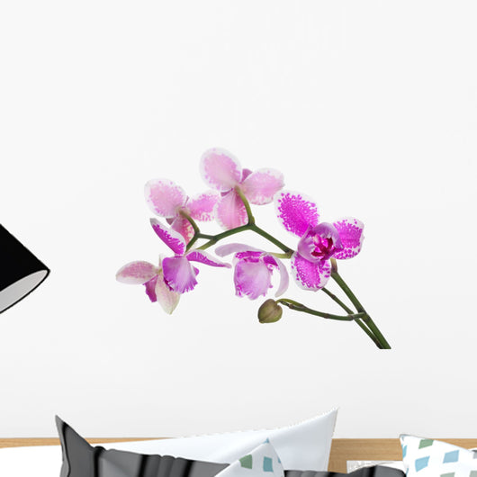 three petals orchids on branch Wall Decal