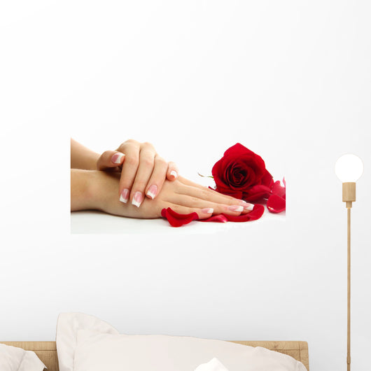 Beautiful woman hands with rose, isolated on white