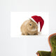 Rabbit with Santa Hat