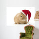 Rabbit with Santa Hat