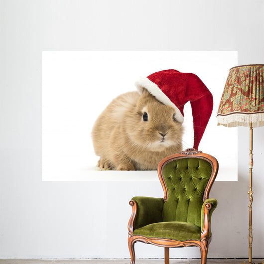 Rabbit with Santa Hat