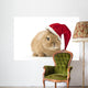 Rabbit with Santa Hat