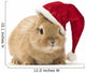 Rabbit with Santa Hat