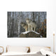 Grey wolves Wall Mural