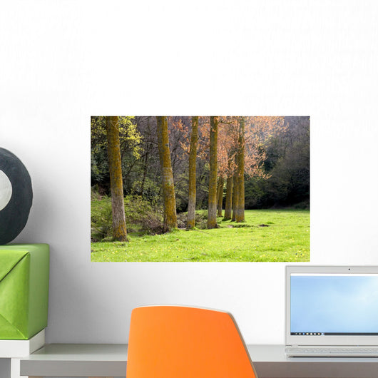 Landscape Wall Mural