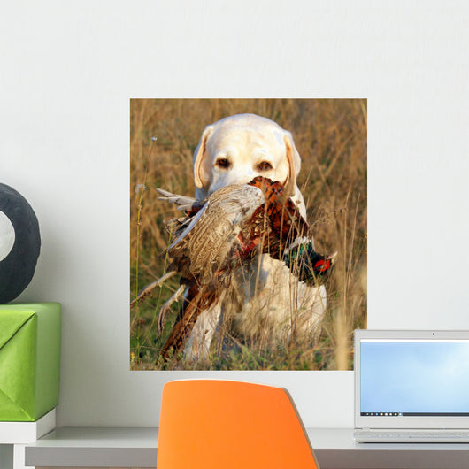 Portrait of Yellow Labrador With Pheasant
