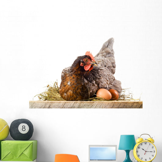 Hen in nest with eggs isolated on white Wall Decal