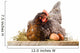 Hen in nest with eggs isolated on white Wall Decal