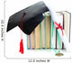 Medal for achievement in education with diploma, hat and books