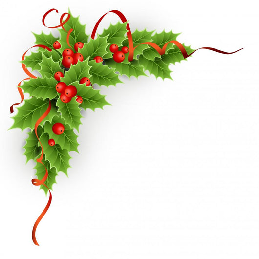 Christmas  holly with berries.