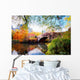 Autumn in Central Park, New York Wall Mural