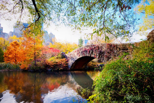 Autumn in Central Park, New York Wall Mural