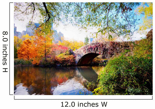 Autumn in Central Park, New York Wall Mural