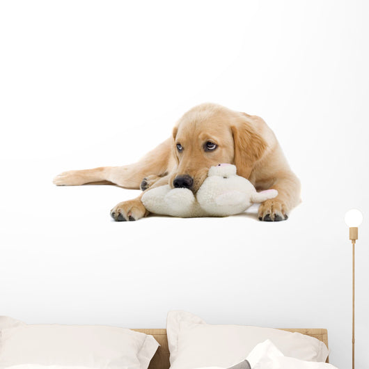 Golden Retriever Puppy With a Stuffed Toy Wall Decal
