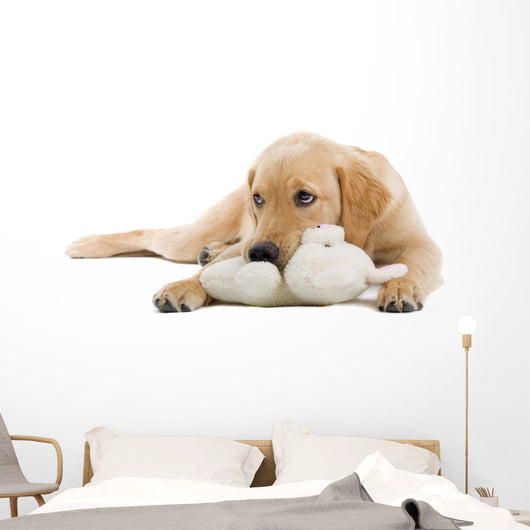 Golden Retriever Puppy With a Stuffed Toy Wall Decal