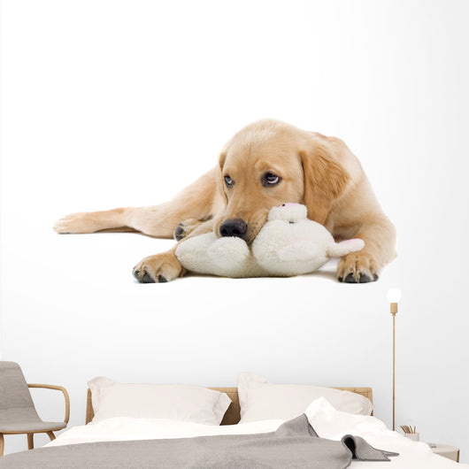 Golden Retriever Puppy With a Stuffed Toy Wall Decal