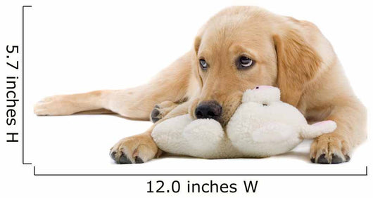 Golden Retriever Puppy With a Stuffed Toy Wall Decal