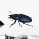 Stag-beetle Wall Decal