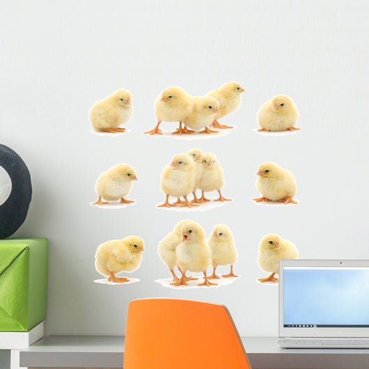 Yellow Baby Chickens Wall Stickers