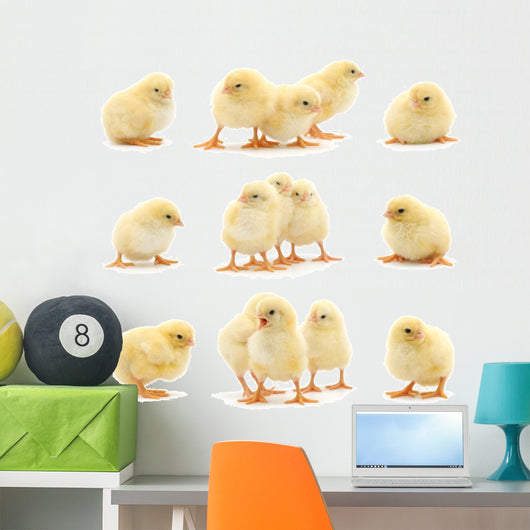 Yellow Baby Chickens Wall Stickers