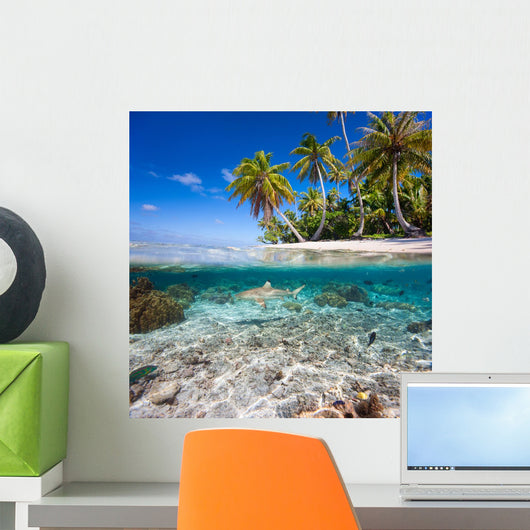 Tropical island under and above water