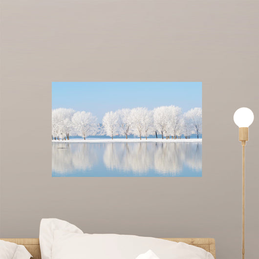 winter landscape with beautiful reflection in the water
