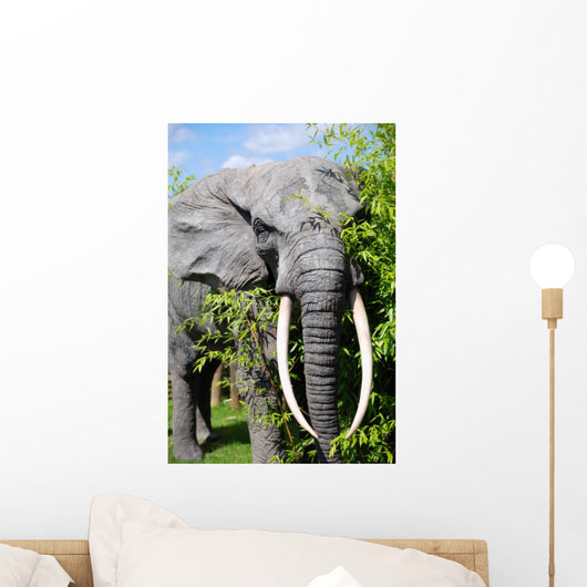 elephant Wall Mural