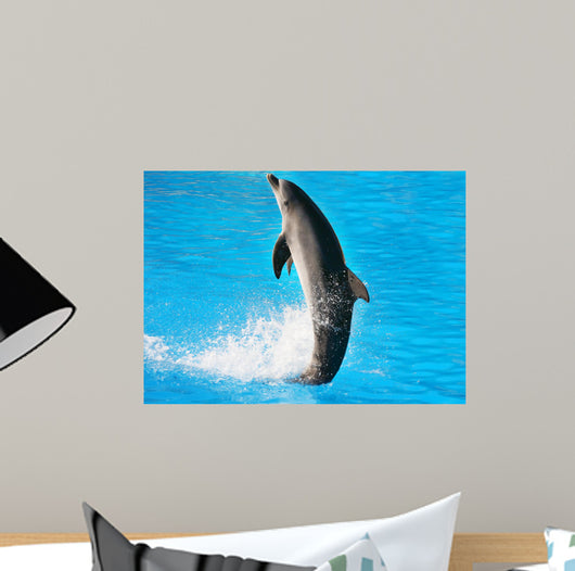 Dolphin Dance Wall Mural