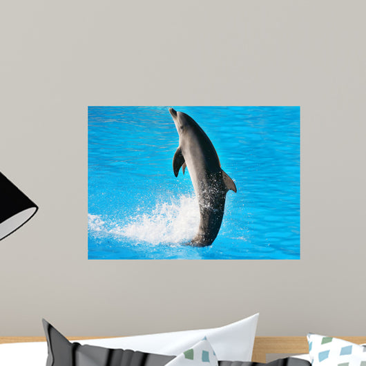 Dolphin Dance Wall Mural