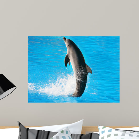 Dolphin Dance Wall Mural