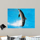 Dolphin Dance Wall Mural