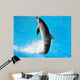 Dolphin Dance Wall Mural