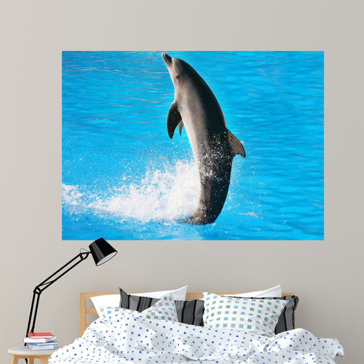 Dolphin Dance Wall Mural