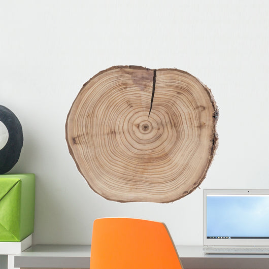 Juniper texture Wall Decal