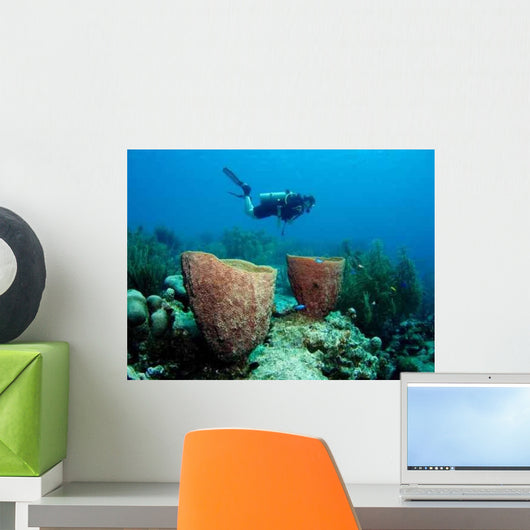 Diver Floating over Coral Wall Decal
