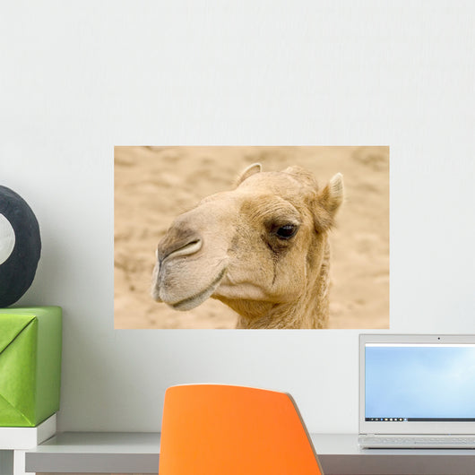 The Camel Wall Mural