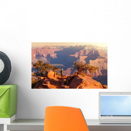 Hike in Grand Canyon Wall Mural