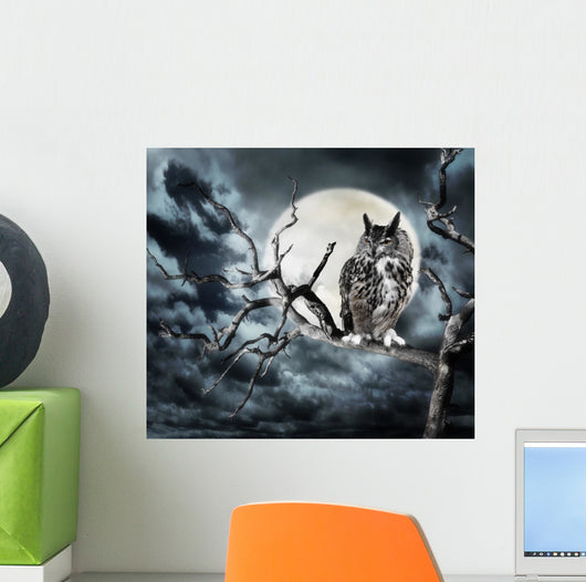 Owl on A Tree at Night