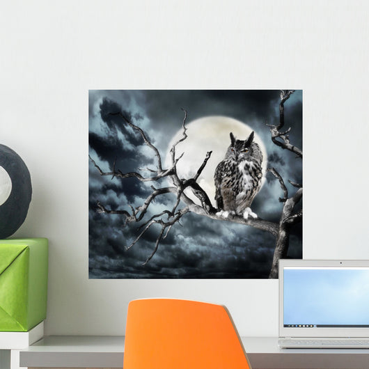 Owl on A Tree at Night