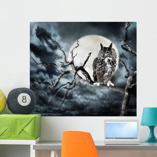 Owl on A Tree at Night